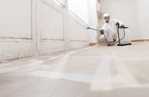 24/7 Emergency Mold Remediation experts in Newport, PA